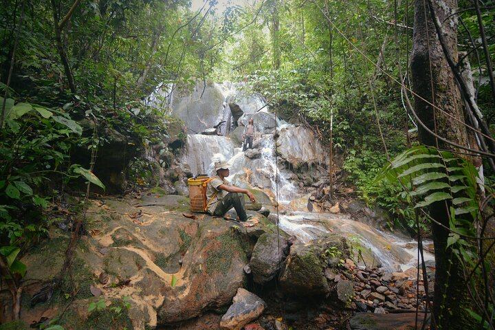 3-Day Survival and Leuser Ecosystem Tour - Photo 1 of 15