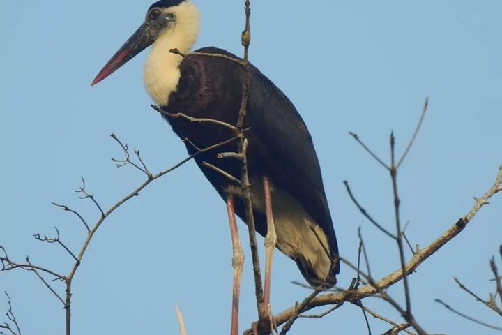 3-Day Ujung Kulon National Park Private Guided Tour - Photo 1 of 7