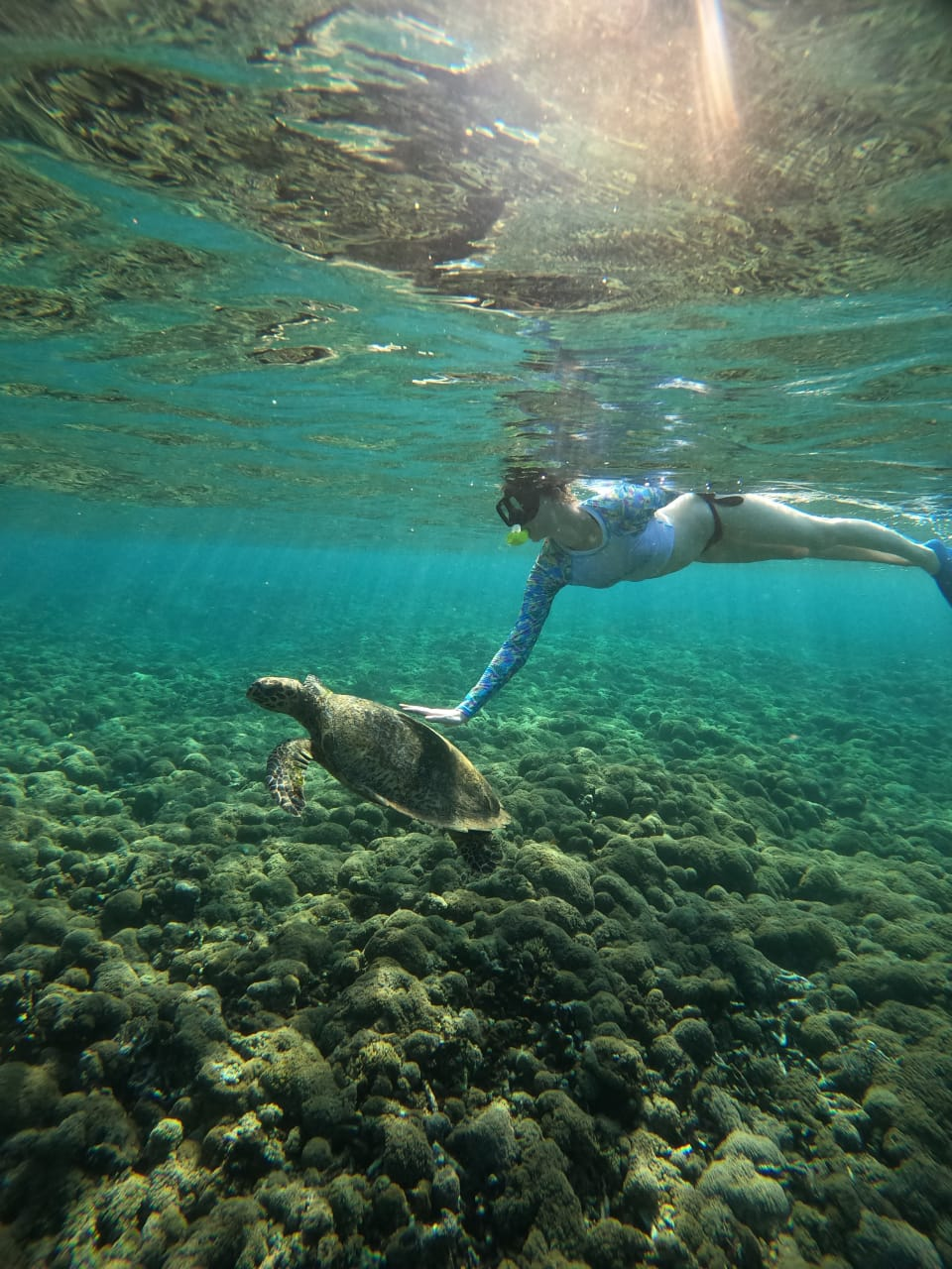 Gili Islands Glass Bottom Boat 4-Hour Snorkelling Tour - Photo 1 of 5