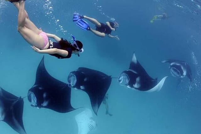 4 Spots Snorkeling Tour with Manta Rays in Nusa Penida - Photo 1 of 12