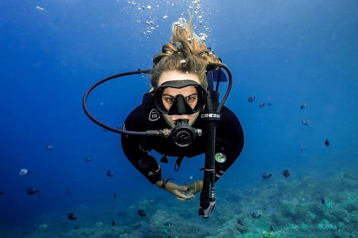 Advanced Open Water Course - Advanced Certification in Lembongan (next to Bali) - Photo 1 of 25