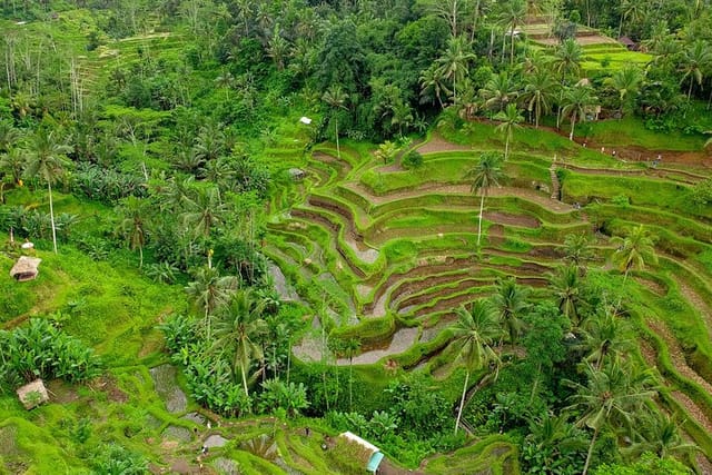 afternoon-tea-in-bali-island_1