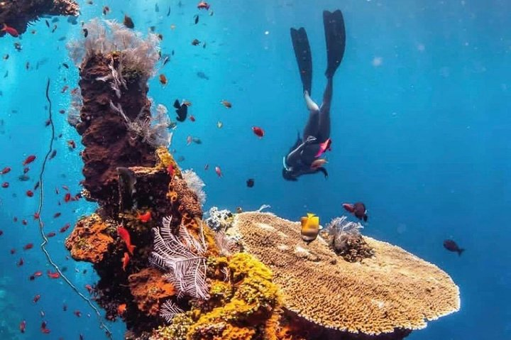 All Inclusive Bali Scuba Diving at Tulamben with Lunch -Transport - Photo 1 of 6