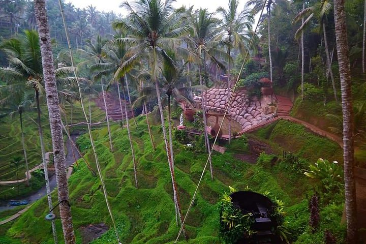 All Inclusive "Ubud ATV Riding,Rice terrace view & Ubud Swing - Photo 1 of 9