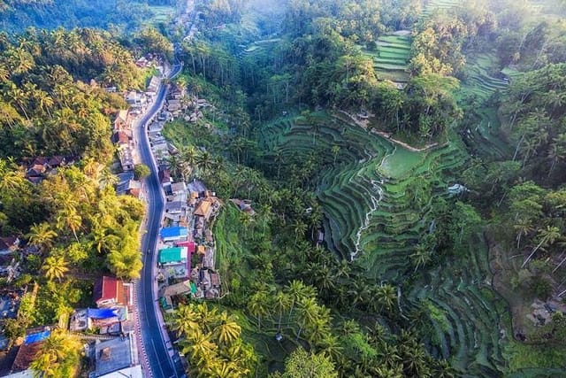 Tegalalang Rice terrace