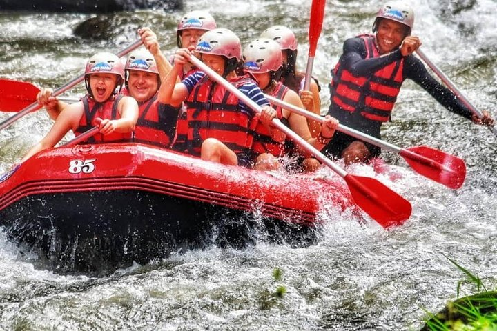 Amazing Full-Day Rafting Adventure in Telaga Waja River and Ubud Tour  - Photo 1 of 6