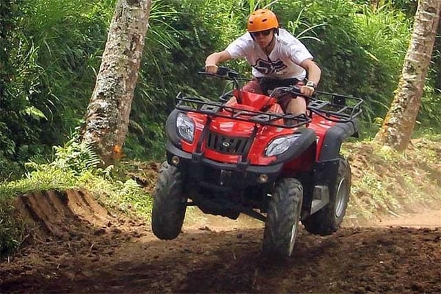 ATV Quad Bike Jungle