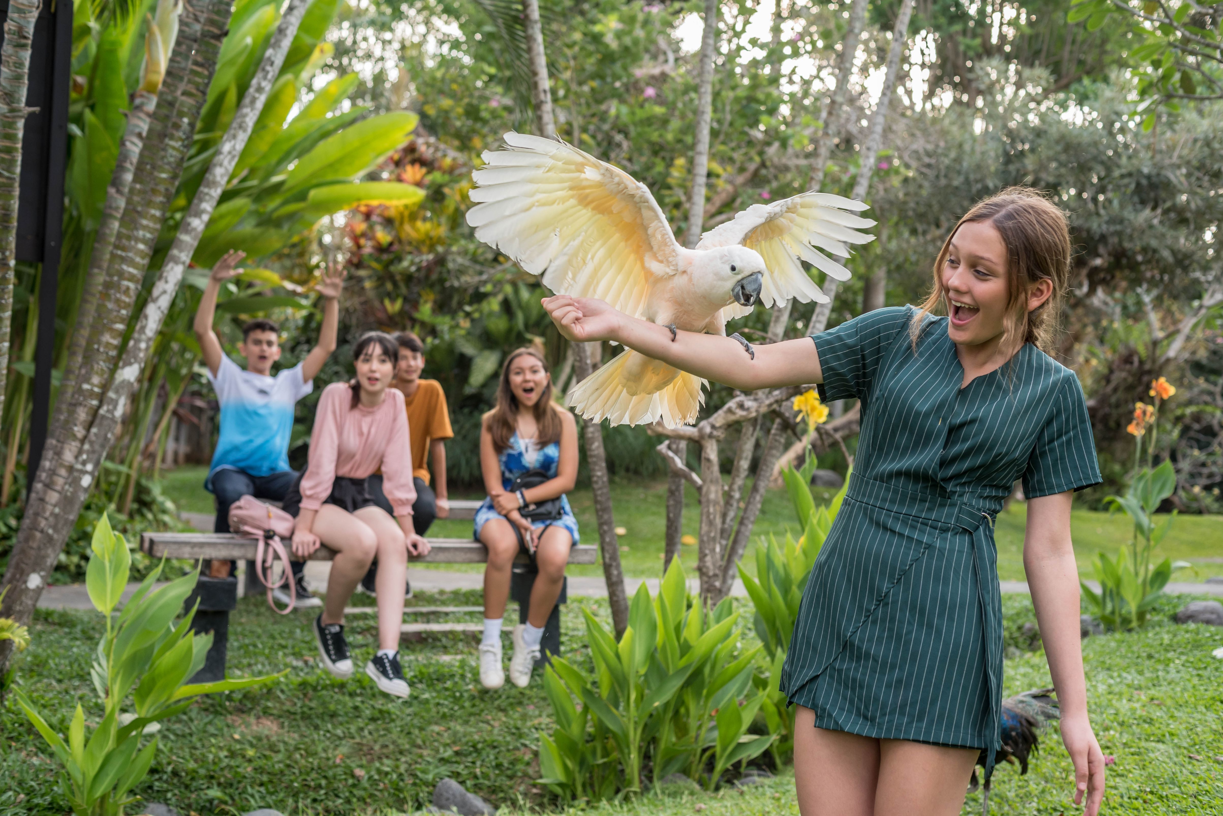 Bali Bird Park Tickets - Photo 1 of 10