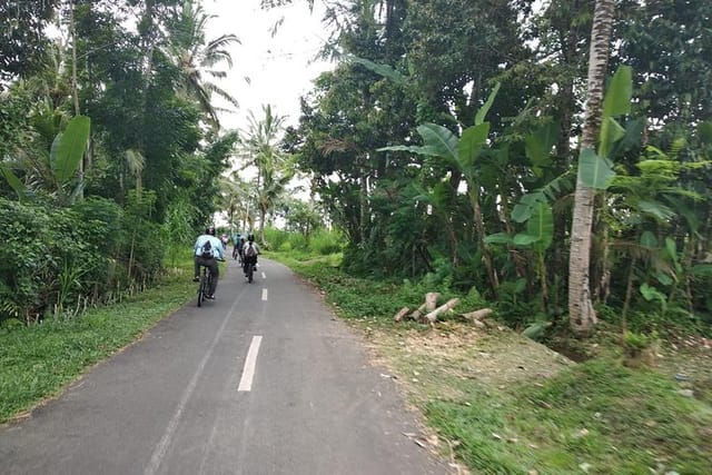 countryside road