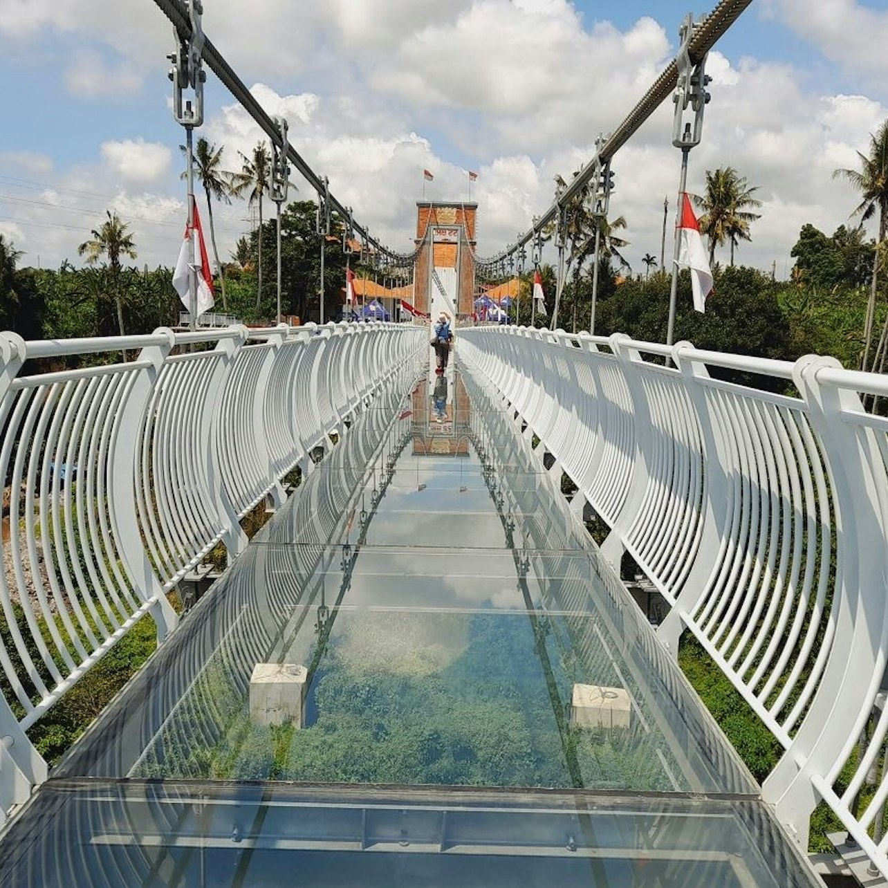 Bali Glass Bridge: Entry Ticket - Photo 1 of 3