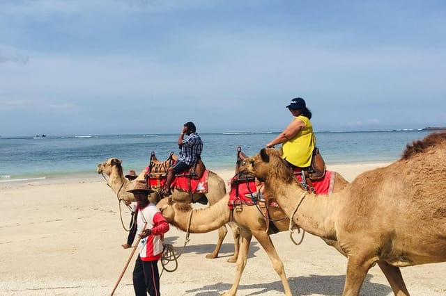 BALI HOLIDAY TRANS#Bali Camel Adventure# - Photo 1 of 4