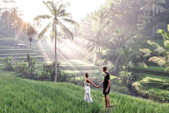 Tegelalang rice terrace
