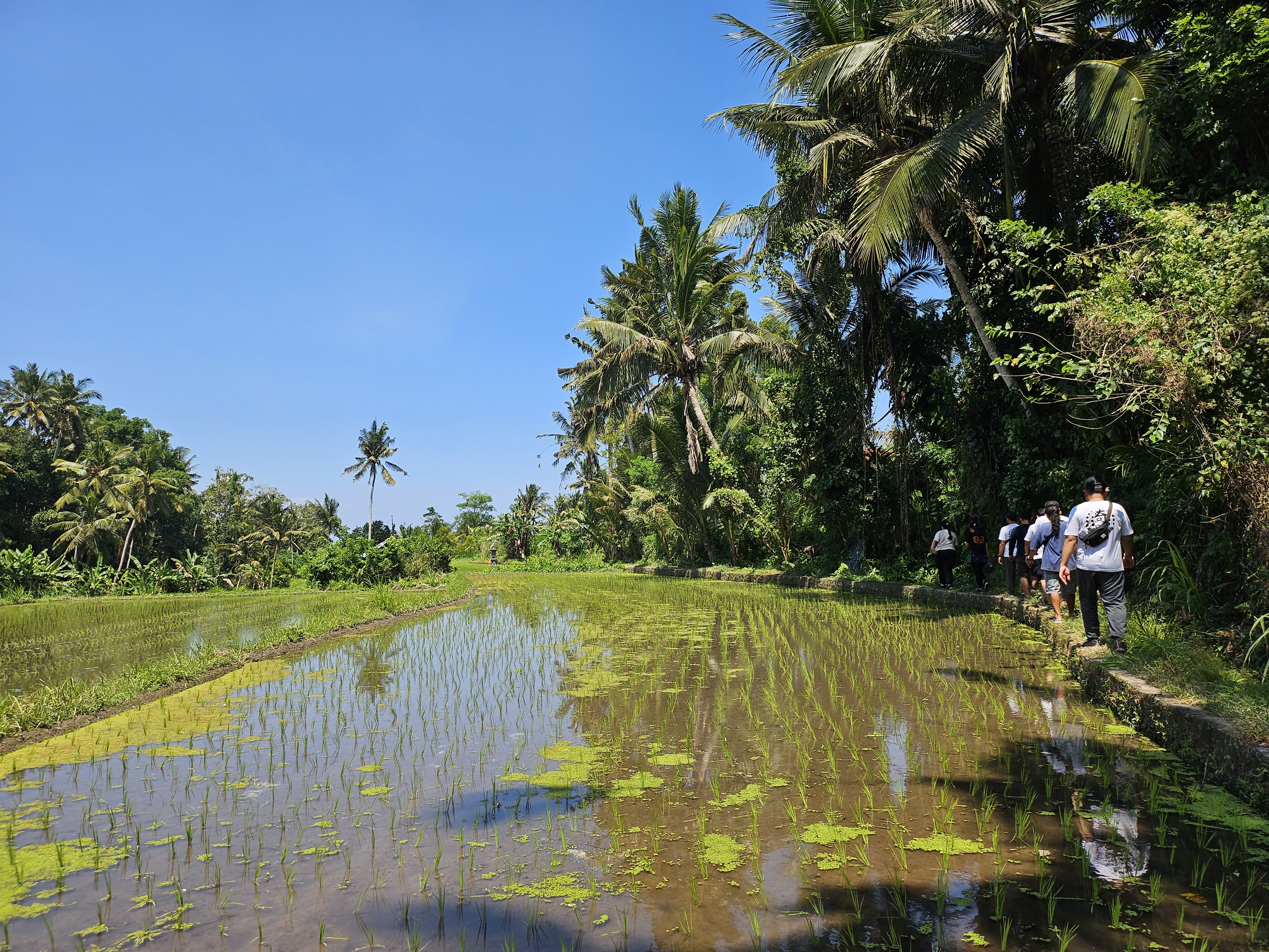 Bali Rural Trekking - Photo 1 of 10