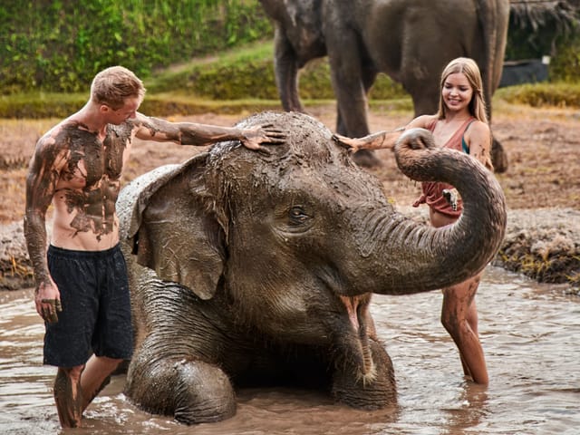 Elephant Mud Fun at Bali Zoo - Photo 1 of 7