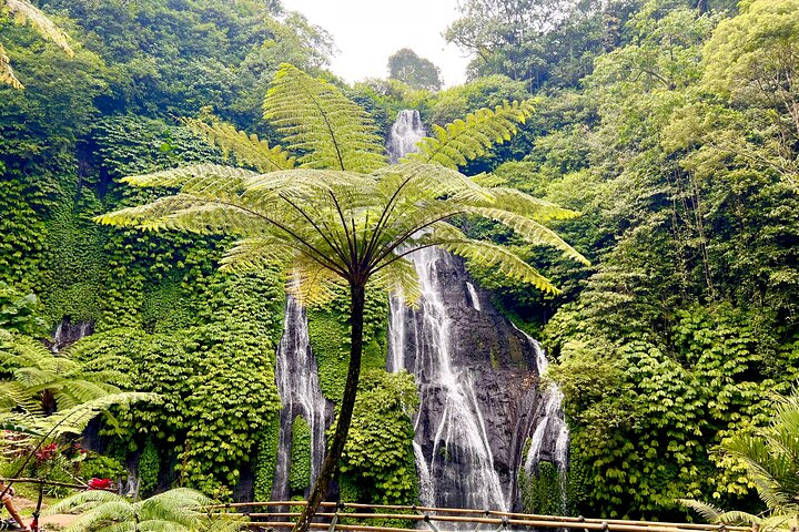 Banyumala Waterfalls with Tanah Lot Sunset Tour - Photo 1 of 13