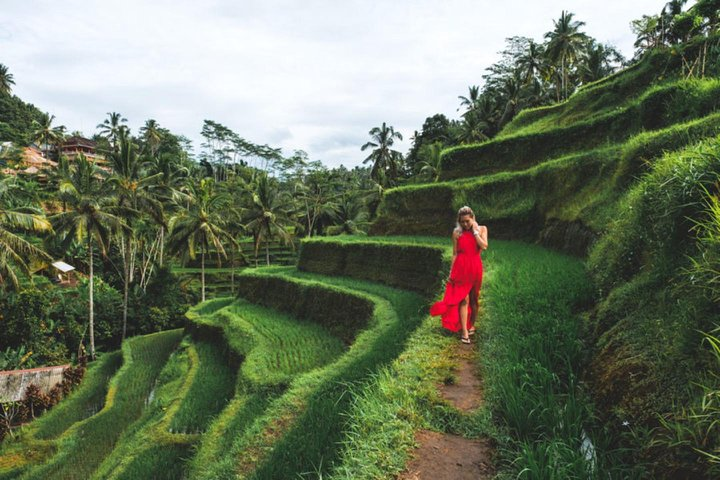 Best of Bali Tour