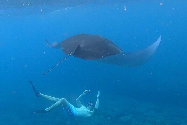 Best snorkel to meet Manta Rays in Nusa Penida - Photo 1 of 21