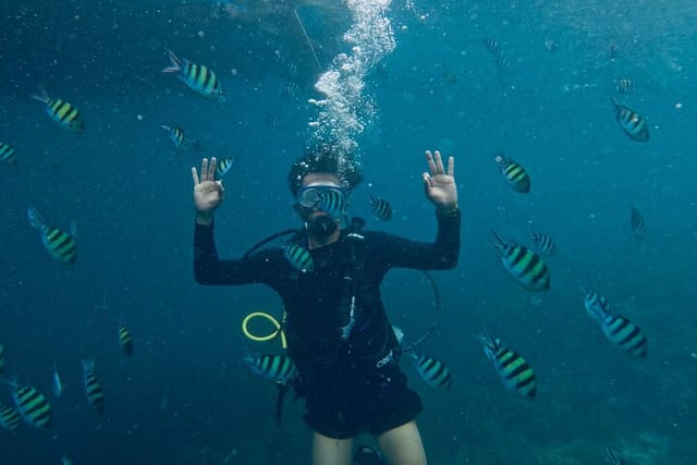 Blou lagoon snorkeling all incllusive - Photo 1 of 10