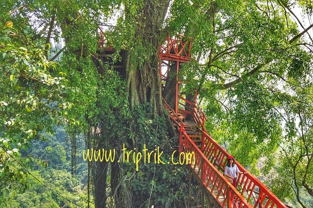 Bogor Motorcycle Tour (Trip by Ojek) Jonggol Waterfall - Photo 1 of 5