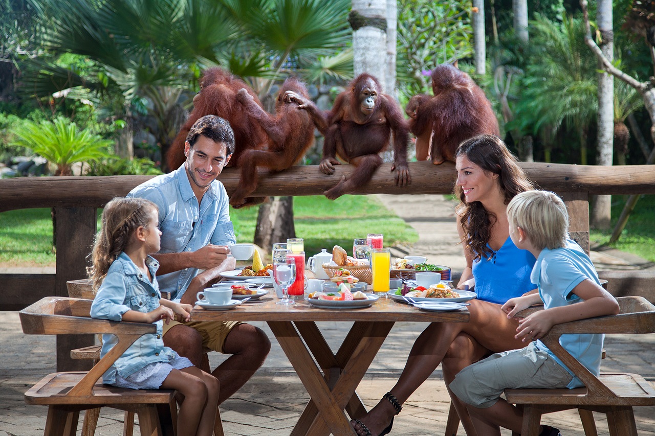 Breakfast with Orangutans at Bali Zoo - Photo 1 of 5