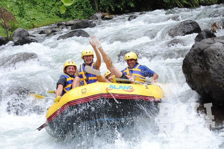 Combination Heaven Gate, Rafting, & Swing All Includes - Photo 1 of 6