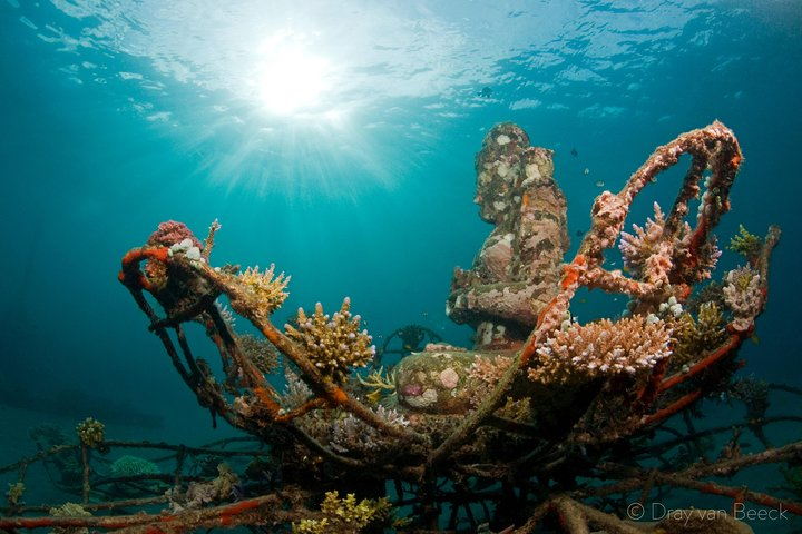 Discover Scuba Diving in Pemuteran at the Biorock site,1 shore dive all included - Photo 1 of 9