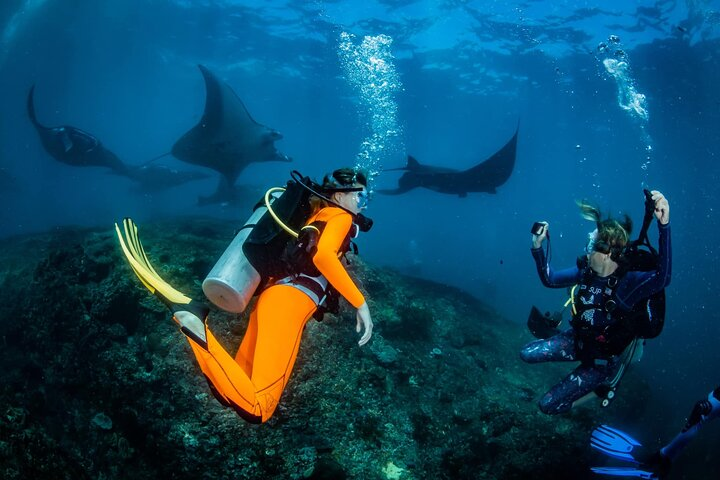 Diving in Nusa Penida - Photo 1 of 10