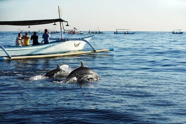 Sunrise With Dolphine