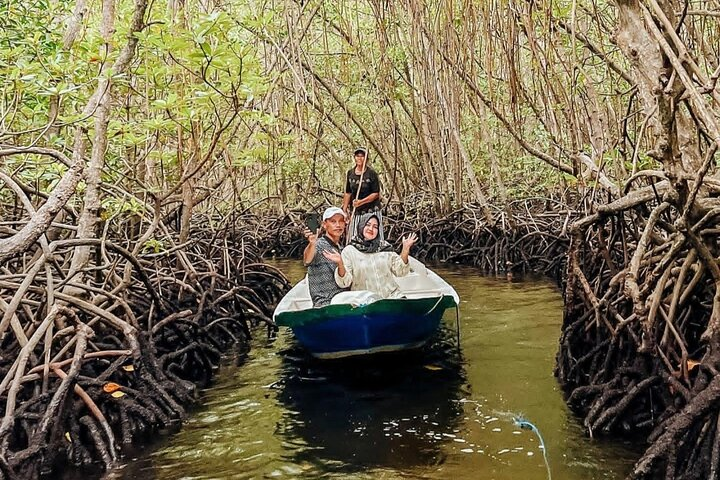 Exploring Mangrove Forest by Boat at Lembongan Tour - Photo 1 of 5