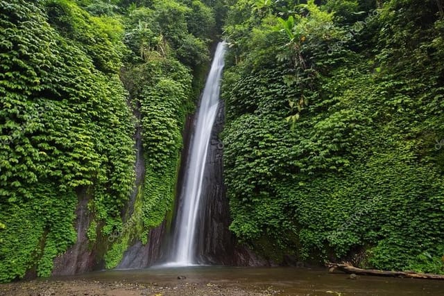 Exploring Munduk Village (Waterfalls, rice terrace, Traditional local house)  - Photo 1 of 6