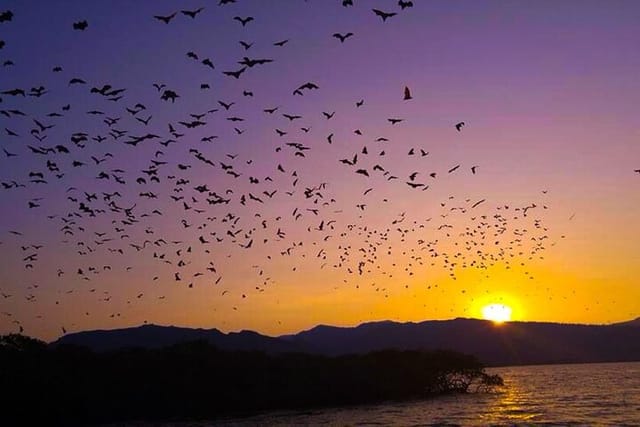 Flying Fox Island Sunset Cruise Private Boat Charter Labuan Bajo  - Photo 1 of 6