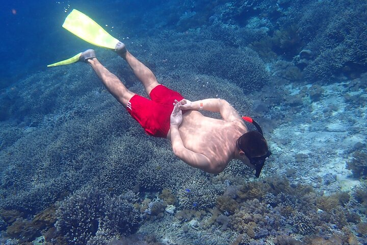 From Lembongan: Snorkeling Day Trip to Nusa Lembongan & nusa Penida island - Photo 1 of 3