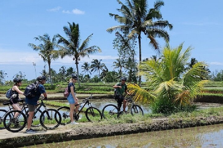 From Ubud Electric Bike Bali Countryside Ubud tegalalang - Photo 1 of 9