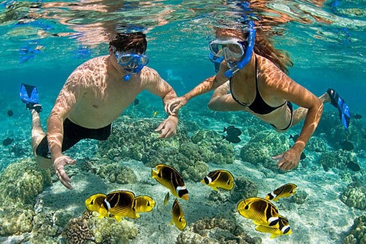 Full-Day Private Guided Lombok Snorkeling 3 Gili Islands  - Photo 1 of 7