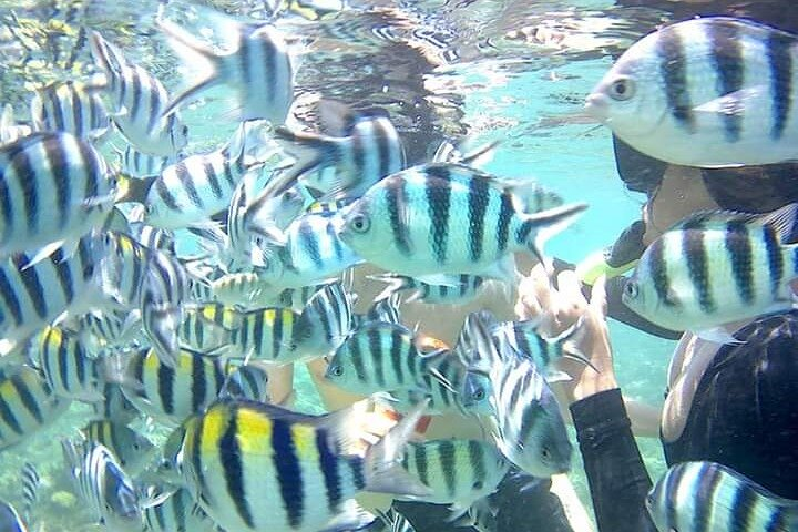 Gili Asahan Snorkeling Tour - Photo 1 of 9