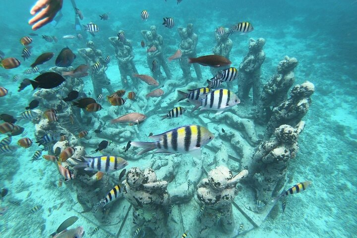 Gili island Snorkeling Half Day Trip departure from Gili Trawangan - Photo 1 of 13