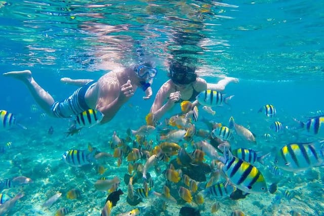 Amazing snorkel experience at Gili