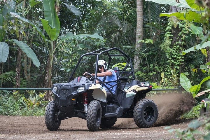 Half Day Jungle Buggies in Bali with Guide - Photo 1 of 8