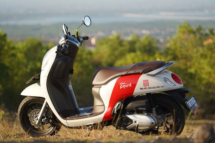 Honda Scoopy Premium 