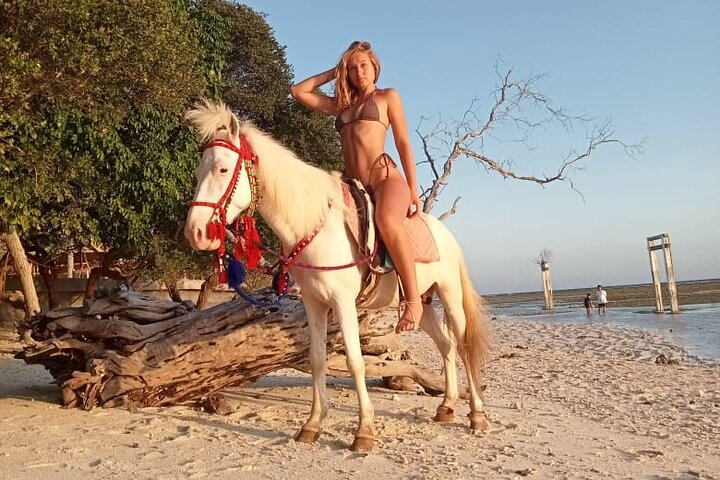 Horse Ride On The Beach Gili Islands - Photo 1 of 9