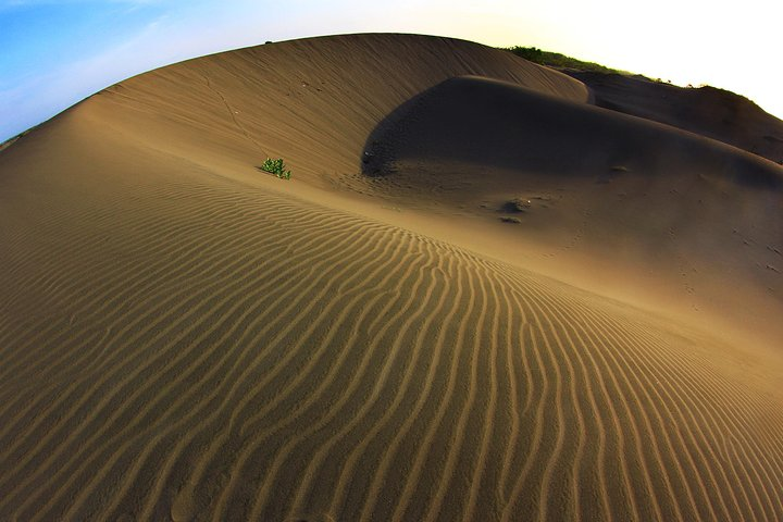 Sand Dune Parangkusumo Yogyakarta