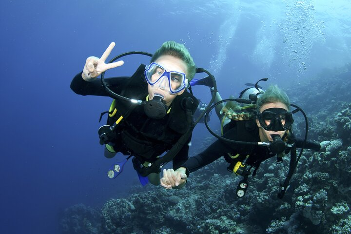 Introduction into diving (half day, 2 dives, no cert) - Photo 1 of 5