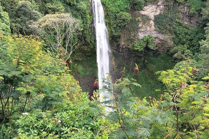 Jakarta Bogor Botanical Garden, Waterfall and Rice terrace, Lunch - Photo 1 of 25