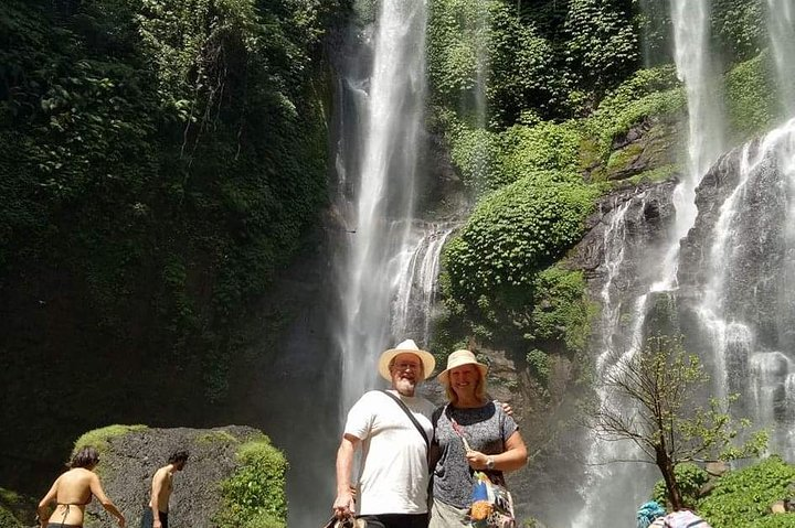 Jatiluwih rice terraces,ulundanu and sekumpul waterfall trips - Photo 1 of 9