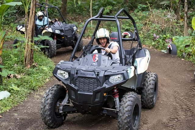 Jungle Buggy Adventure