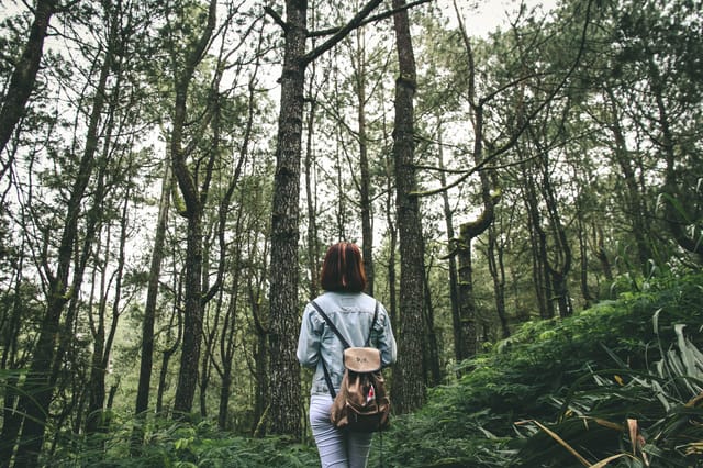 Jurang Tembelan Sunrise, Hutan Pinus, Timang Beach Tour - Photo 1 of 6