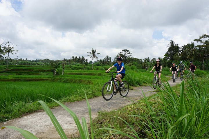 Kintamani Cultural and Nature Cycling Tour - Photo 1 of 6