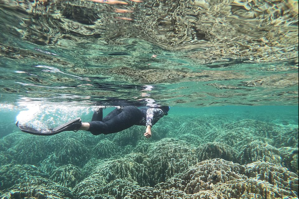 Koh Lipe Long-tail Boat Snorkel Tour: 7 Islands - Photo 1 of 10