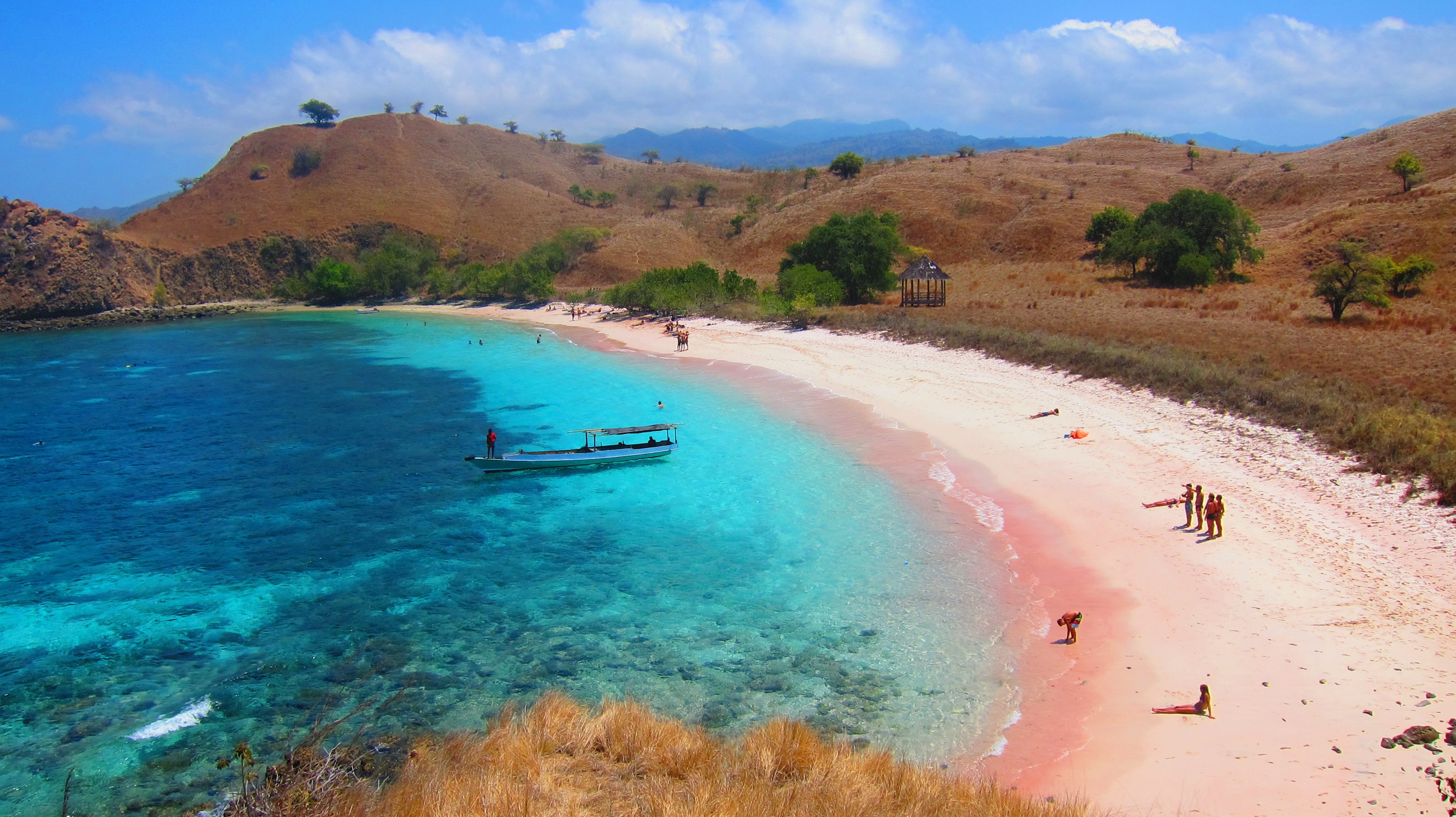 Komodo Full Day Speedboat Tour from Labuan Bajo - Photo 1 of 9