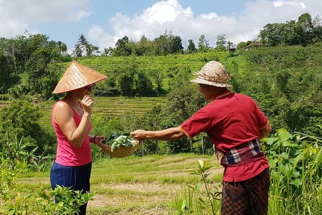 Kubu Terrace Jatiluwih Cooking Class  - Photo 1 of 14